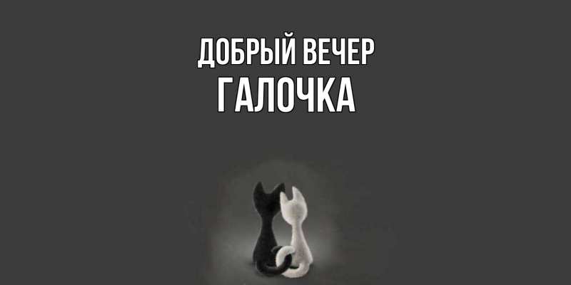 Картинка Добрый вечер, Галочка