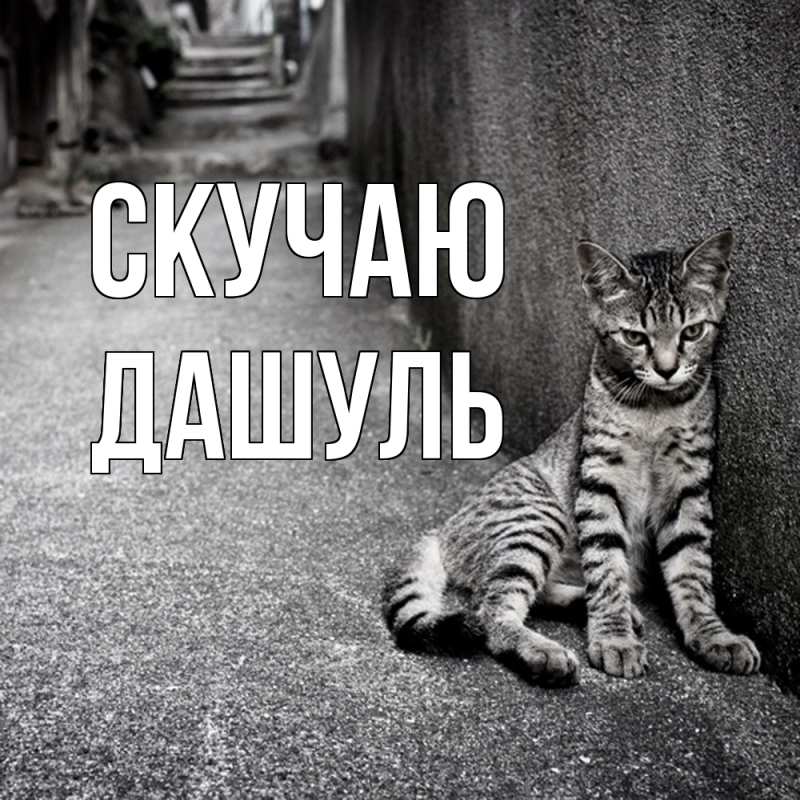 Картинка Скучаю, Дашуль