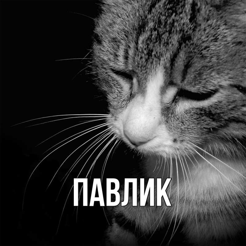 Картинка  с именем , Павлик