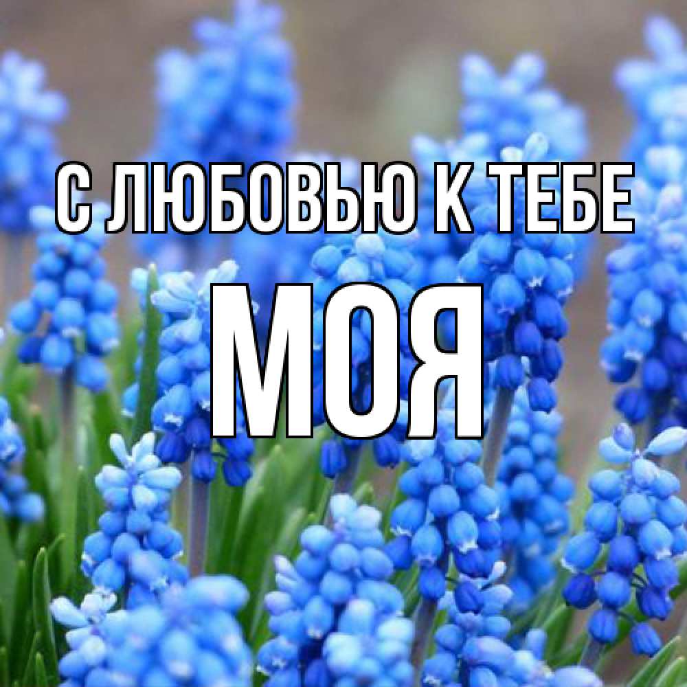 Открытка  с именем. Моя, С любовью к тебе  