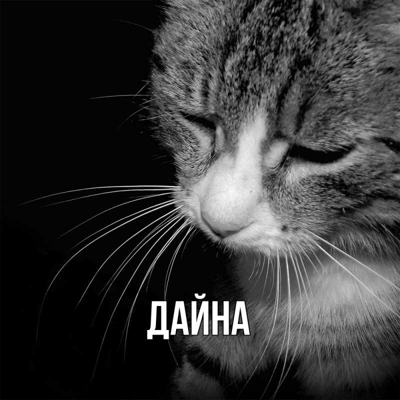 Картинка  с именем , Дайна