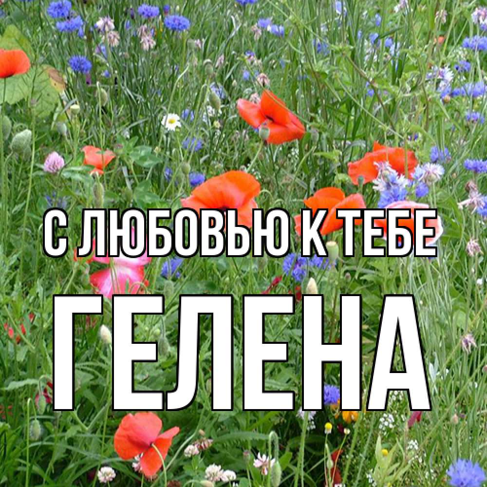 Открытка  с именем. Гелена, С любовью к тебе  