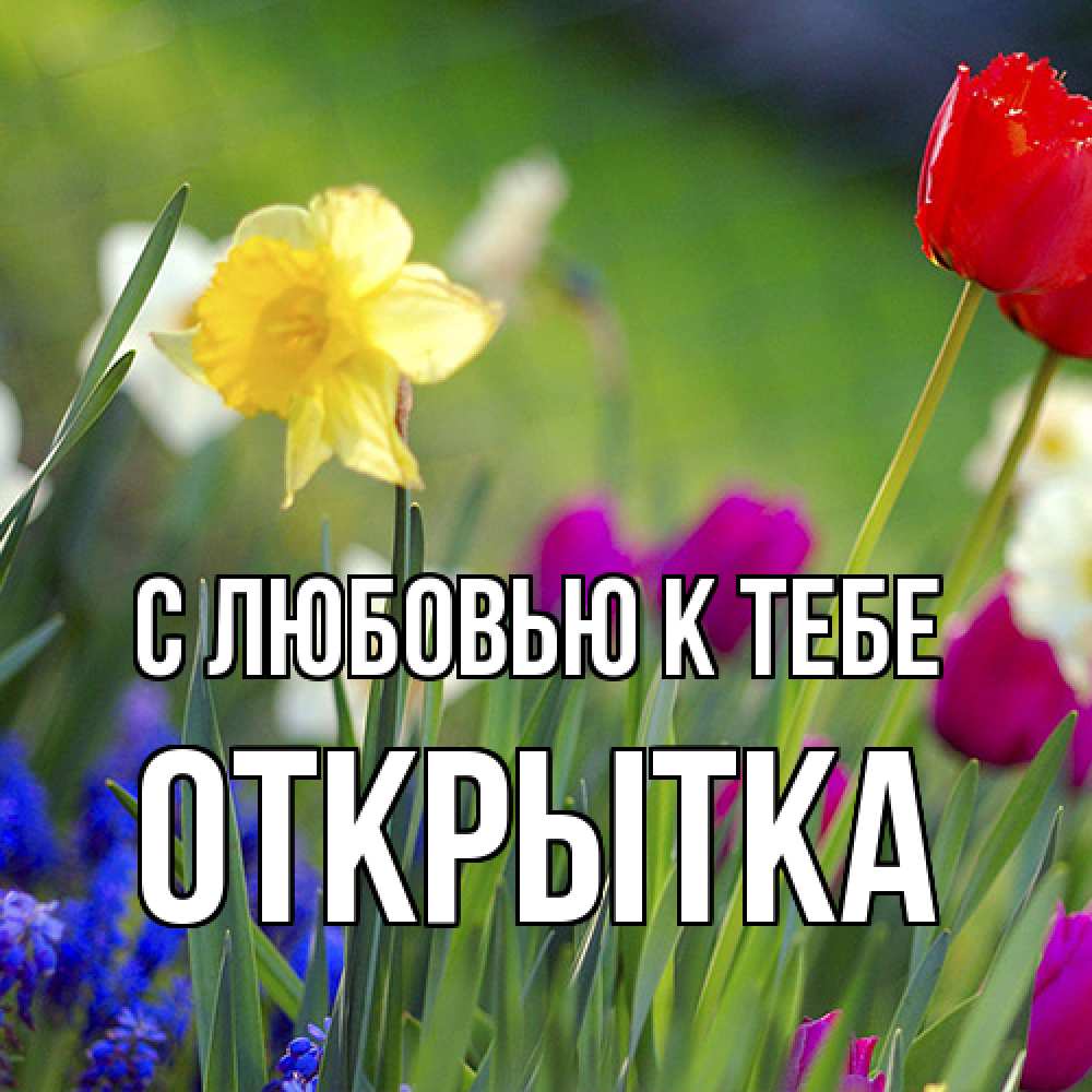 Открытка  с именем. открытка, С любовью к тебе  