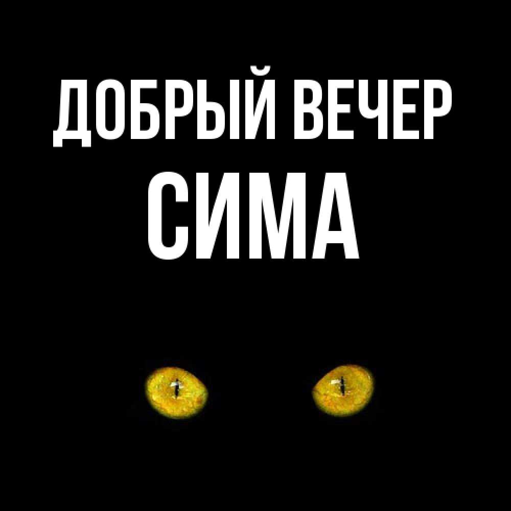 Открытка  с именем. сима, Добрый вечер  