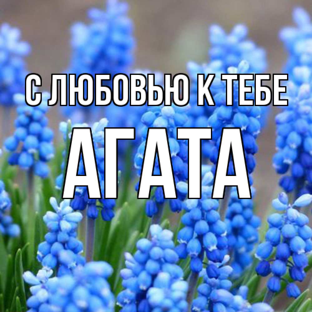 Открытка  с именем. Агата, С любовью к тебе  