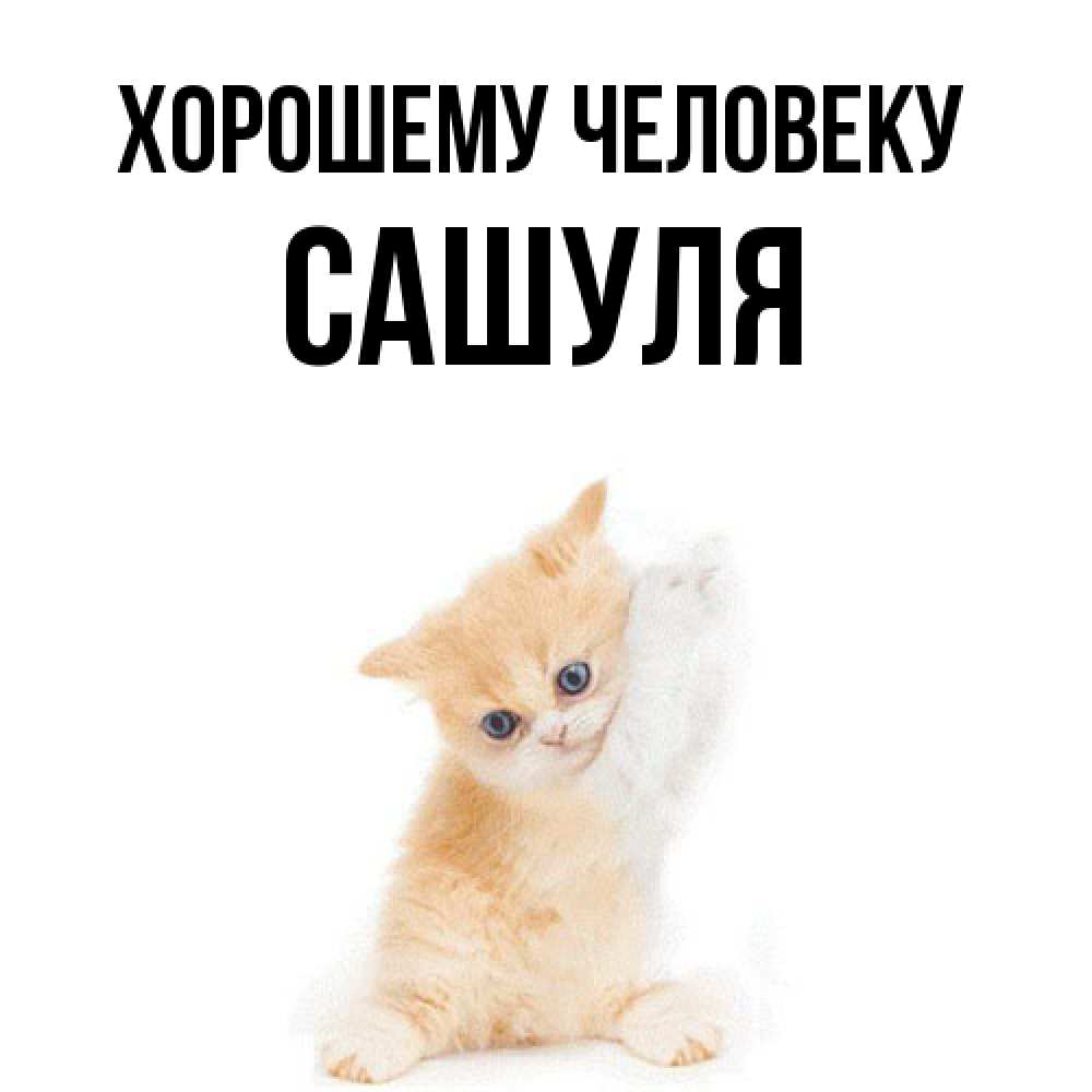 Открытка  с именем. Сашуля, Хорошему человеку  