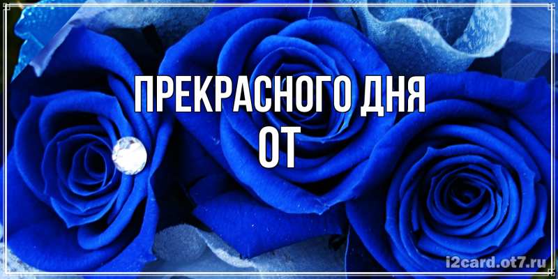 Картинка Прекрасного дня, От