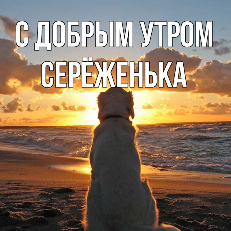 Картинка С добрым утром, Серёженька