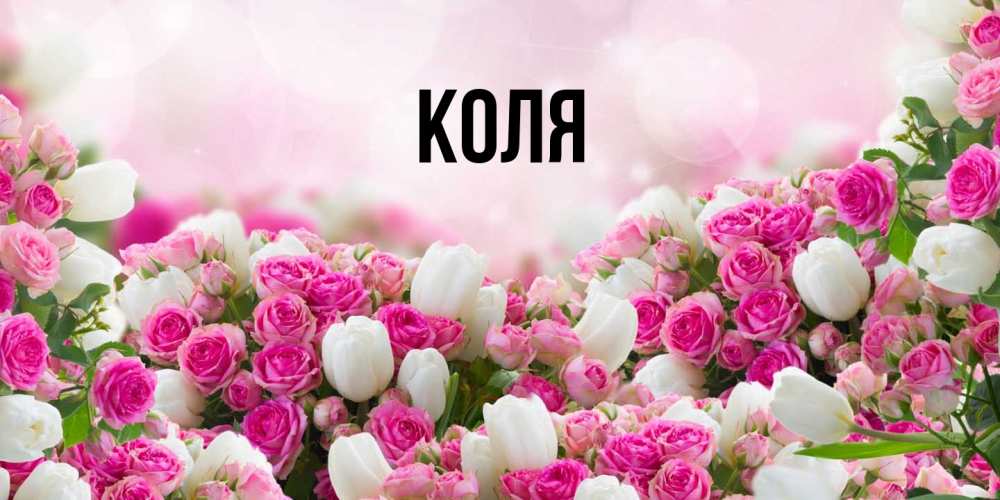 Открытка  с именем. коля, Главная  