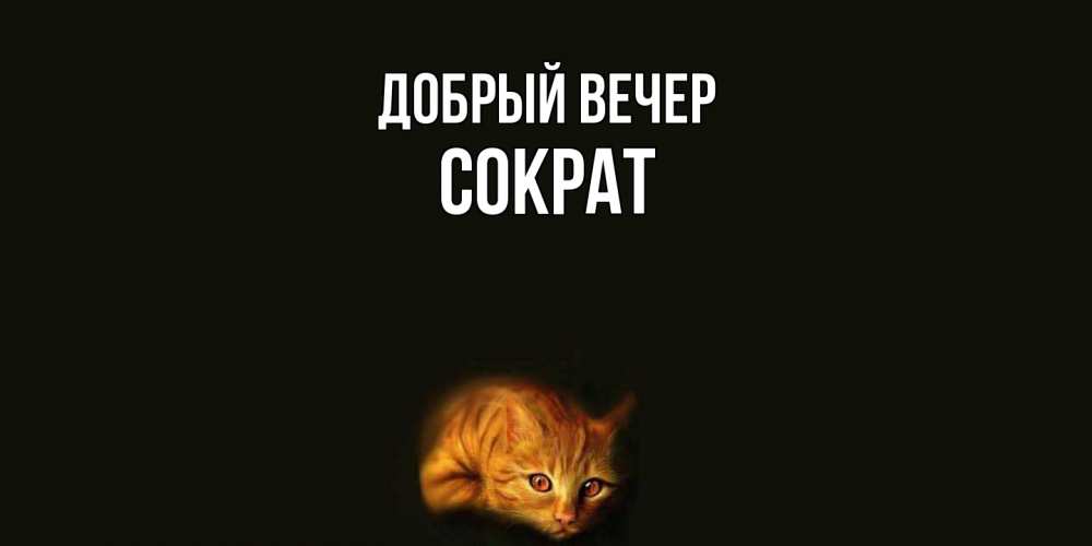 Открытка  с именем. Сократ, Добрый вечер  