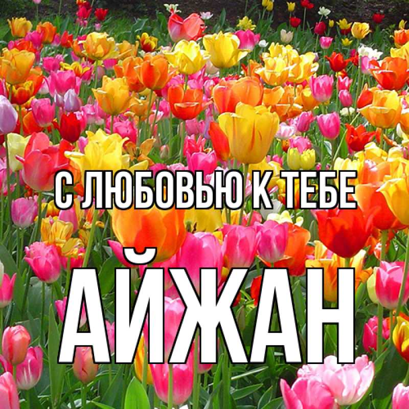 Картинка С любовью к тебе, Айжан