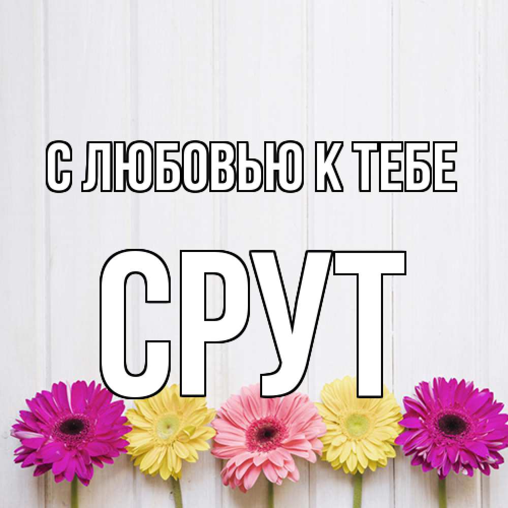 Открытка  с именем. срут, С любовью к тебе  