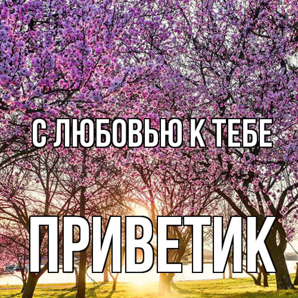 Открытка  с именем. приветик, С любовью к тебе  