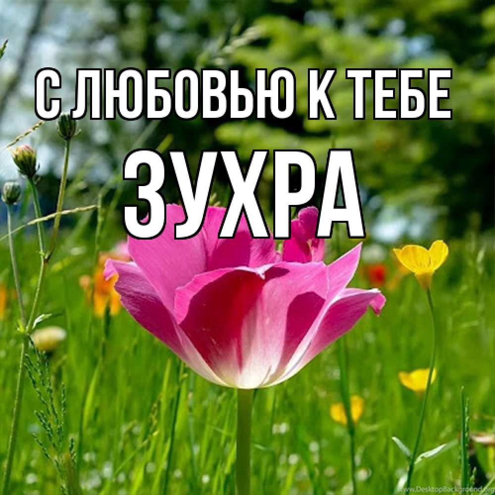 Открытка  с именем. Зухра, С любовью к тебе  