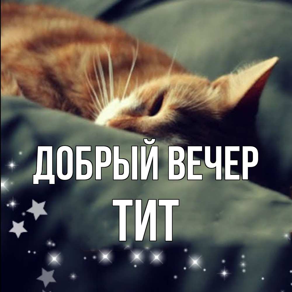 Открытка  с именем. Тит, Добрый вечер  