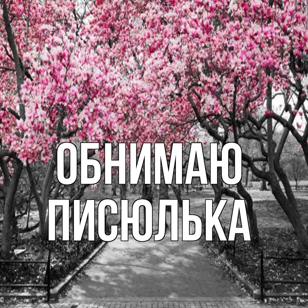 Открытка  с именем. Писюлька, Обнимаю  