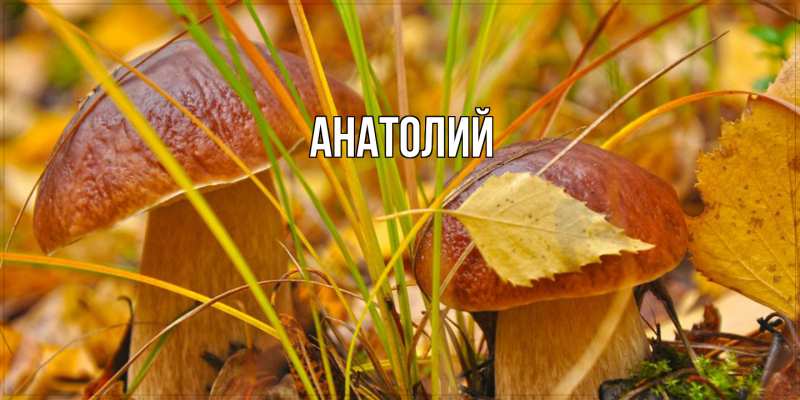 Картинка  с именем , Анатолий