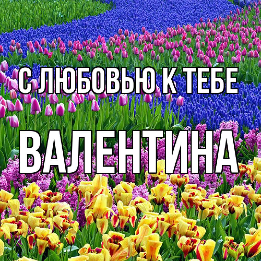 Открытка  с именем. валентина, С любовью к тебе  