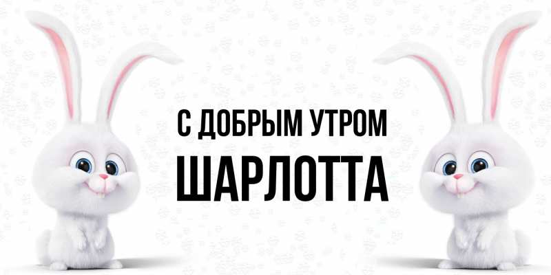 Картинка С добрым утром, Шарлотта