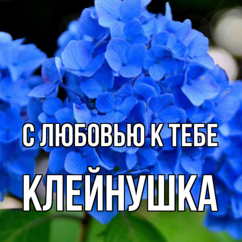 Картинка С любовью к тебе, Клейнушка