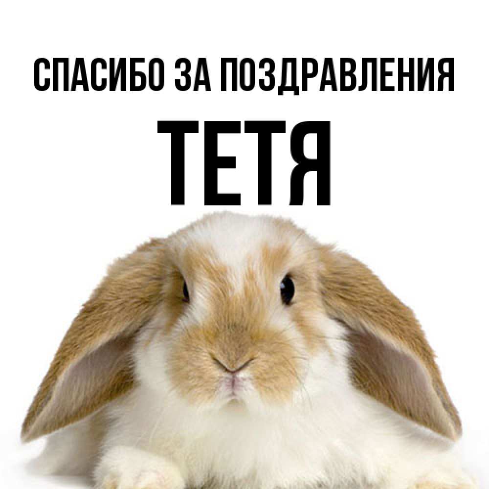 Открытка  с именем. Тетя, Спасибо за поздравления  