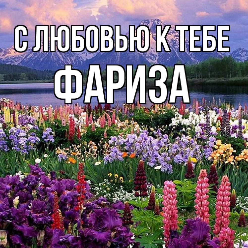 Открытка  с именем. Фариза, С любовью к тебе  