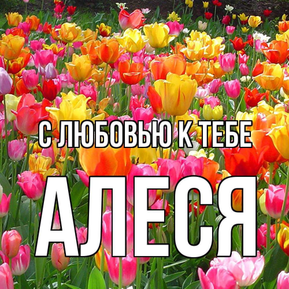 Открытка  с именем. Алеся, С любовью к тебе  