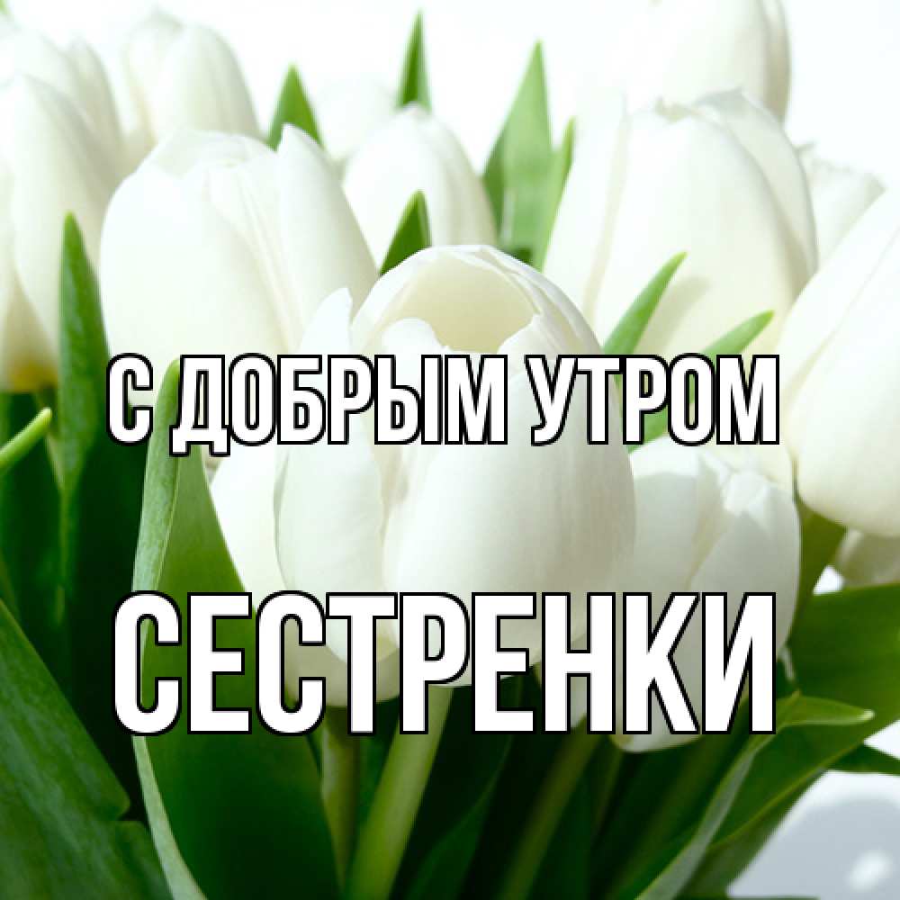 Открытка  с именем. Сестренки, С добрым утром  