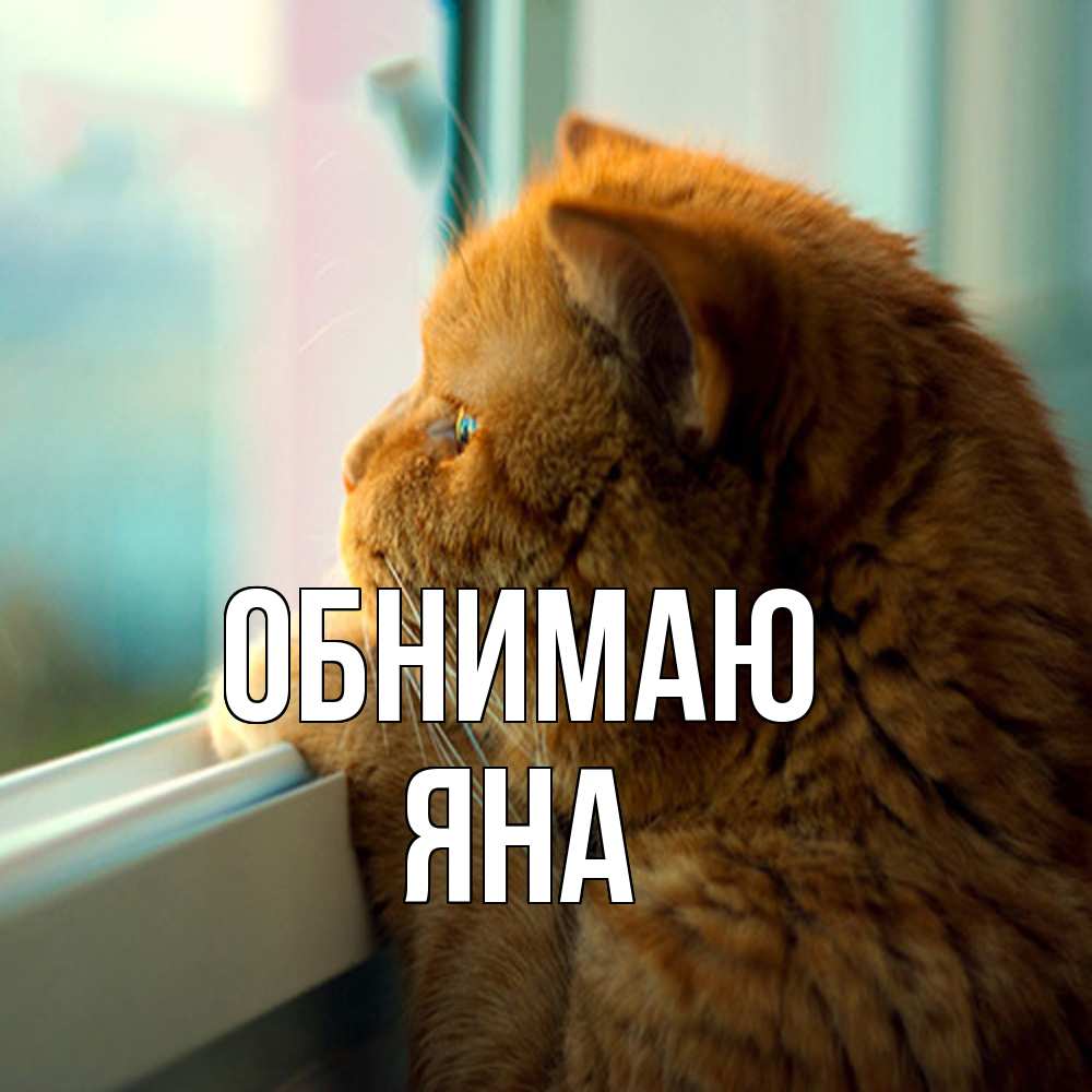 Открытка  с именем. Яна, Обнимаю  