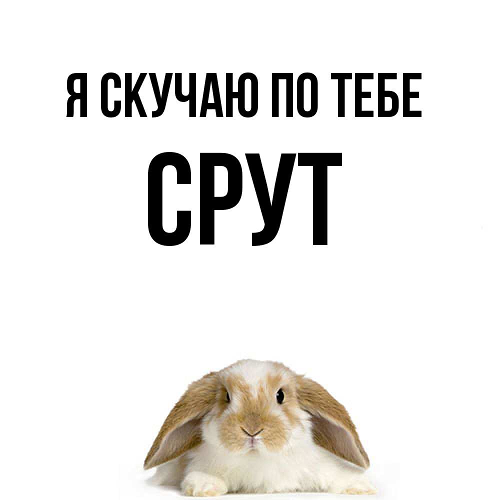 Открытка  с именем. срут, Я скучаю по тебе  