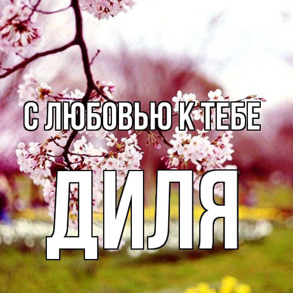 Открытка  с именем. Диля, С любовью к тебе  