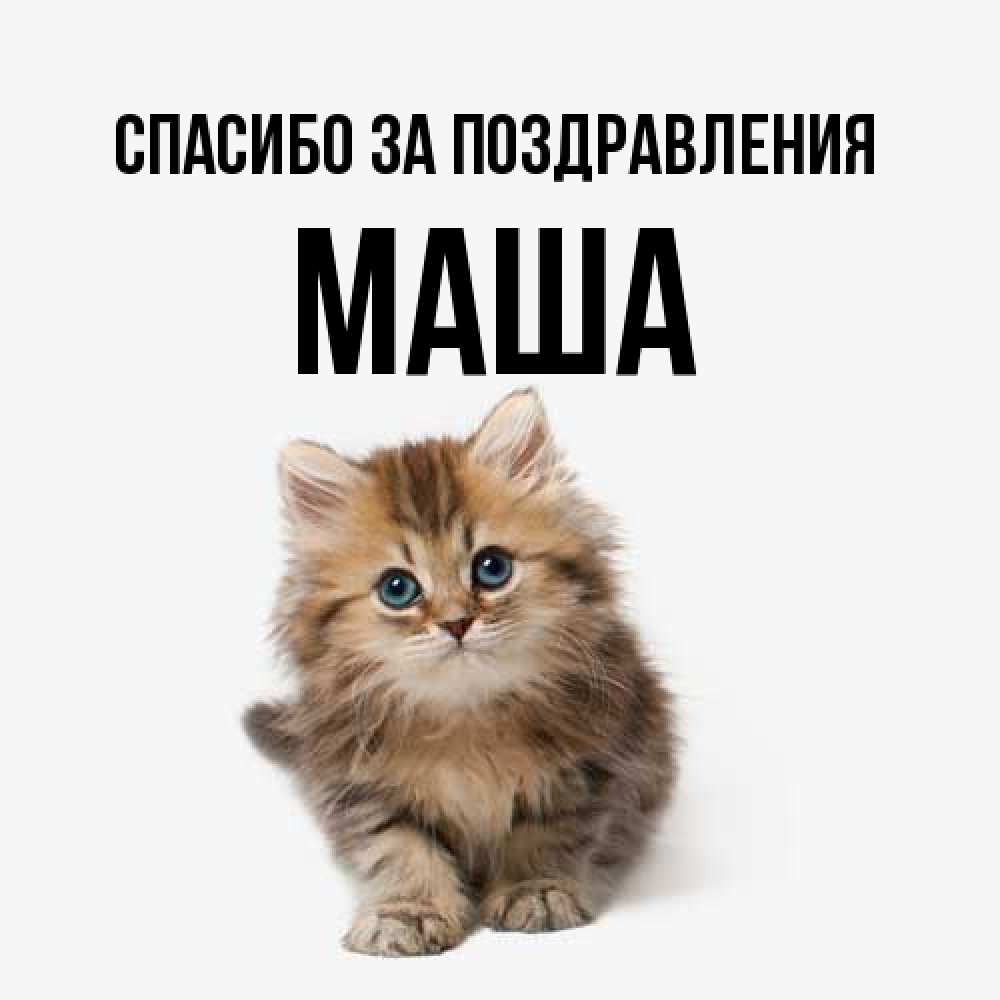 Открытка  с именем. Маша, Спасибо за поздравления  