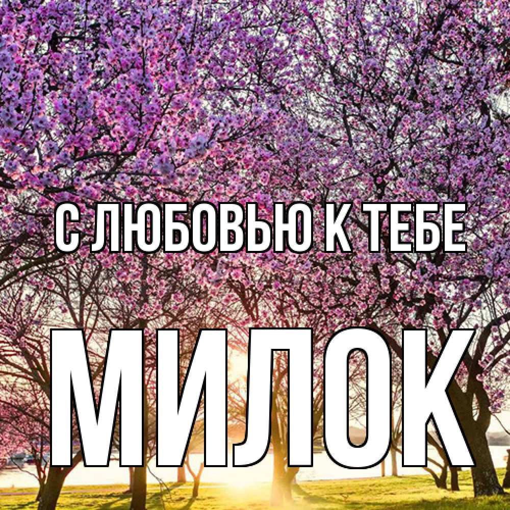 Открытка  с именем. Милок, С любовью к тебе  