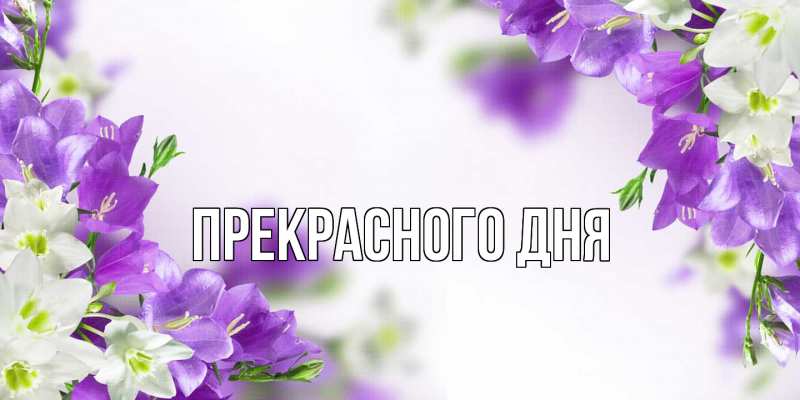 Картинка Прекрасного дня, 