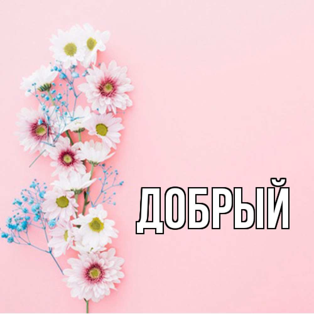 Открытка  с именем. Добрый, Главная  