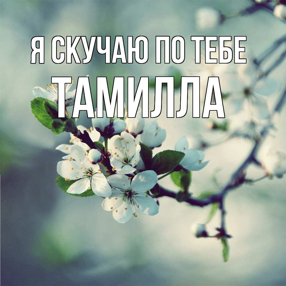 Открытка  с именем. Тамилла, Я скучаю по тебе  