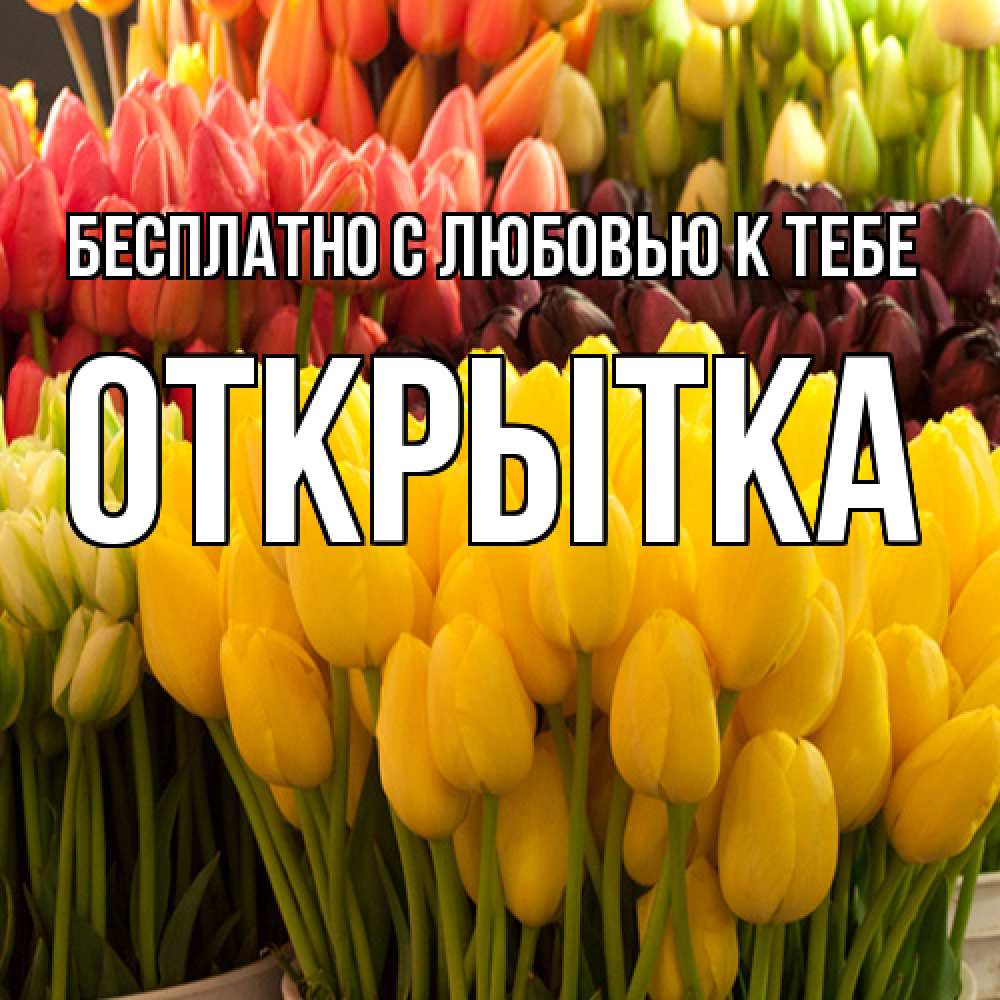 Открытка  с именем. открытка, С любовью к тебе  