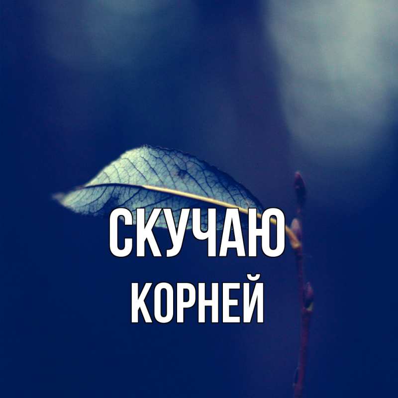 Картинка Скучаю, Корней