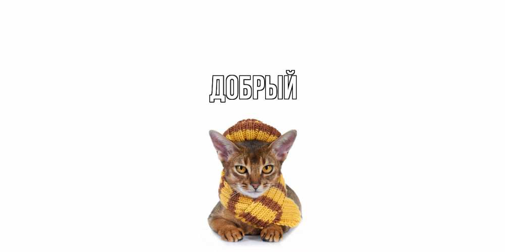 Открытка  с именем. Добрый, Главная  