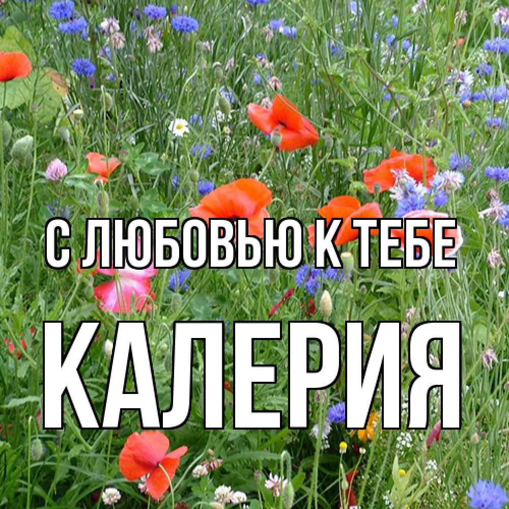 Открытка  с именем. Калерия, С любовью к тебе  