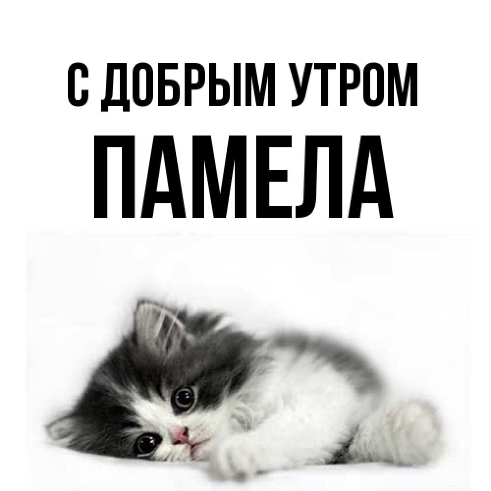 Открытка  с именем. Памела, С добрым утром  
