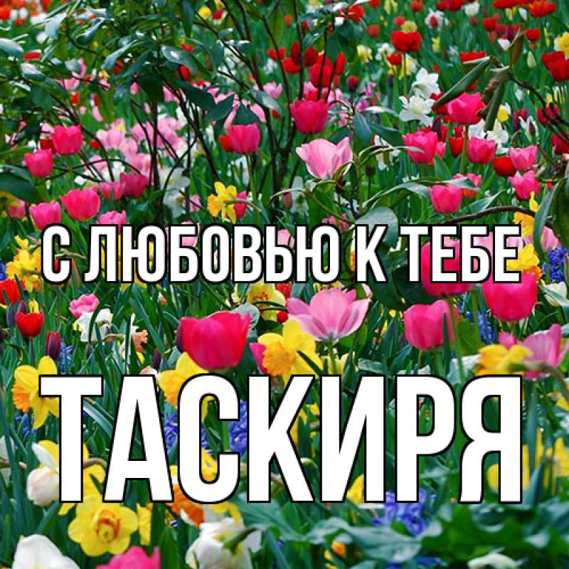 Картинка С любовью к тебе, Таскиря