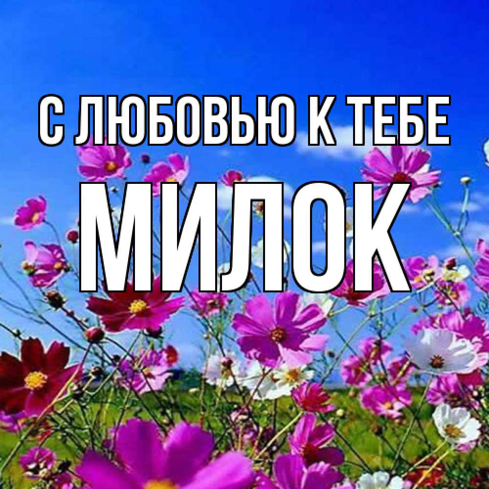 Открытка  с именем. Милок, С любовью к тебе  