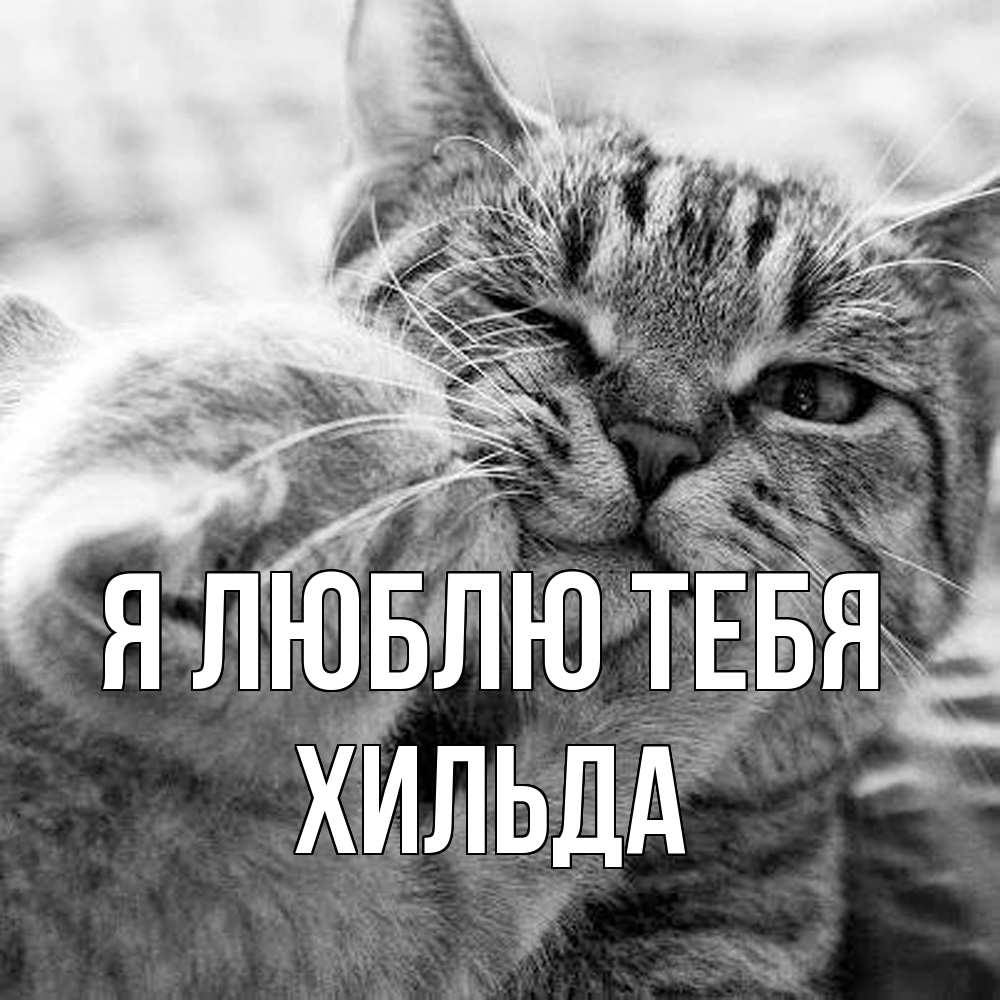 Открытка  с именем. Хильда, Я люблю тебя  