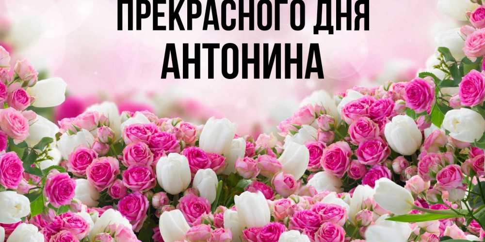 Открытка  с именем. Антонина, Прекрасного дня  