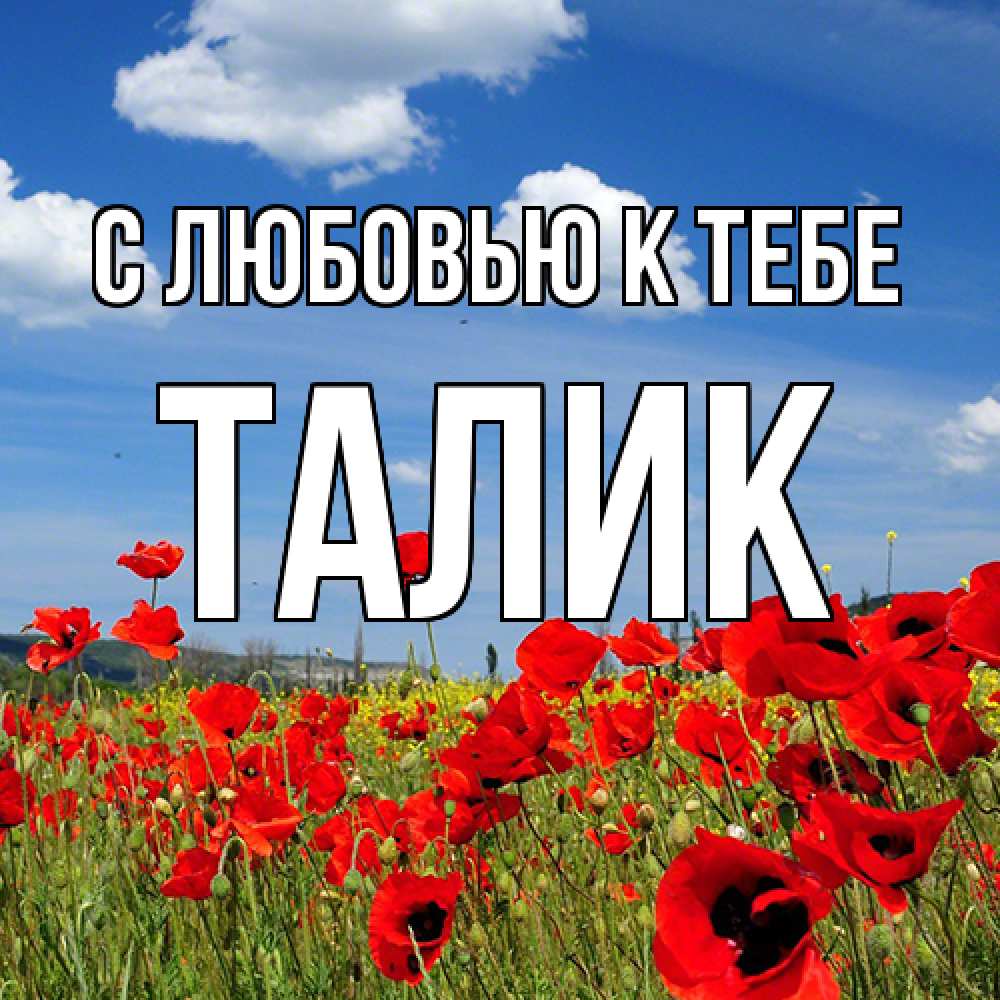 Открытка  с именем. Талик, С любовью к тебе  