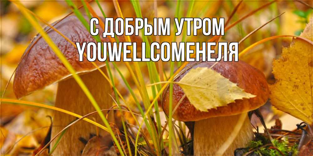 Открытка  с именем. Youwellcomeнеля, С добрым утром  