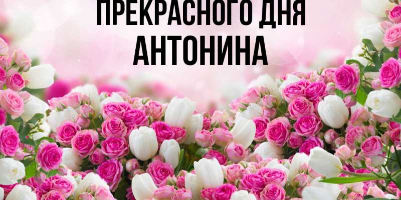 Картинка Прекрасного дня, Антонина