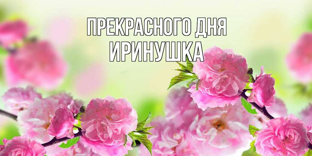 Открытка  с именем. Иринушка, Прекрасного дня  