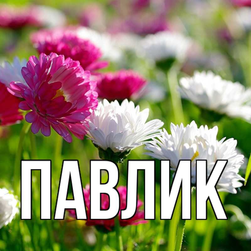Картинка  с именем , Павлик